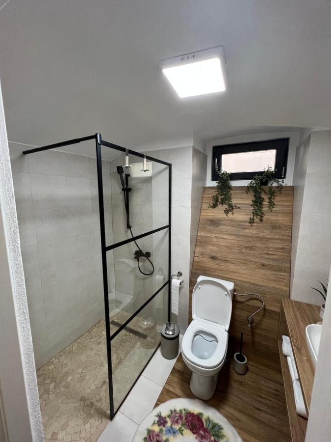 Hotel Timhouse Timișoara Zewnętrze zdjęcie
