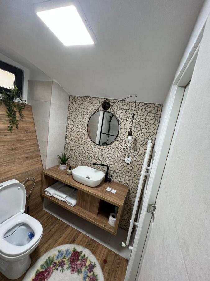Hotel Timhouse Timișoara Zewnętrze zdjęcie
