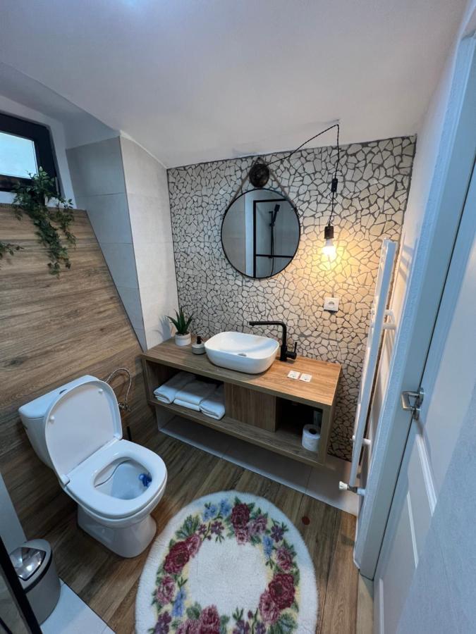 Hotel Timhouse Timișoara Zewnętrze zdjęcie